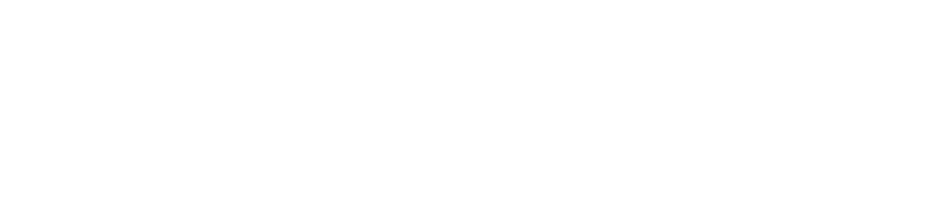 Elaine J. McCarthy Projection & Set Design